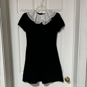 Zara Black Dress with White Collar